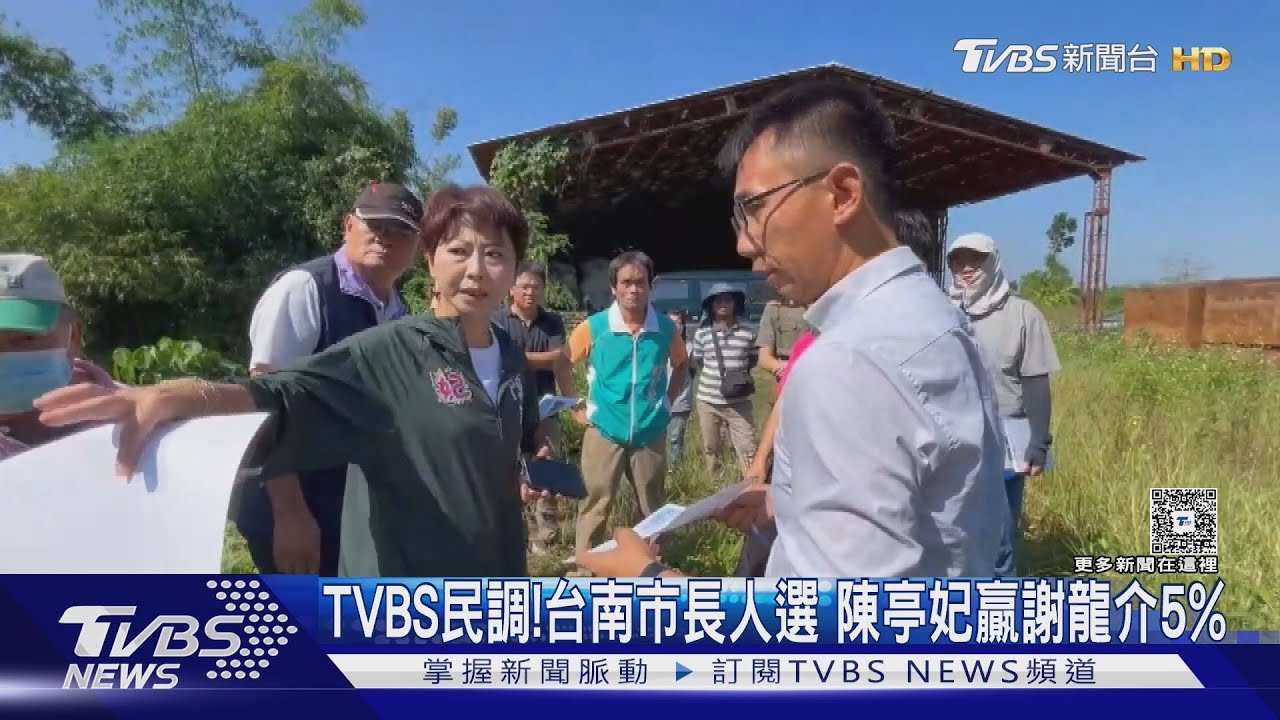 TVBS民調!台南市長競爭激烈 陳亭妃小贏謝龍介5%
