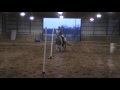 Kermit Loping Poles