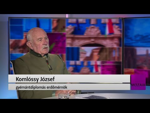 Mozaik - vendég: Komlóssy József- 2024.04.19. - Péntek