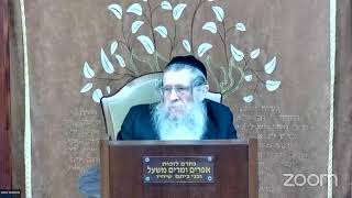 הרה"ג הרב וועכר שליט"א ה' סיון תשפ"ד  - דרך מצוותיך מאמר מצוות משא הארון בכתף חלק ג (הרב אברהם מנחם מענדל וכטר) - התמונה מוצגת ישירות מתוך אתר האינטרנט יוטיוב. זכויות היוצרים בתמונה שייכות ליוצרה. קישור קרדיט למקור התוכן נמצא בתוך דף הסרטון