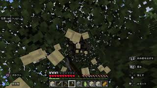 [Minecraft]すごいところで生まれちゃったから記念にワールドの成長を記録していこうと思う#1