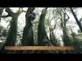 In Hearts Wake Divination CD DVD Teaser Part 1