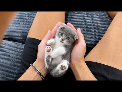 YouTube 썸네일