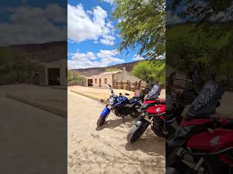 VILA DOS BREJOES MUNICÍPIO DE MORRO DO CHAPÉU BA.#shorts