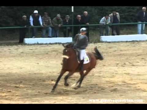 Holsteiner Sport horses "Kalinka MNM" CSI**-W GP
