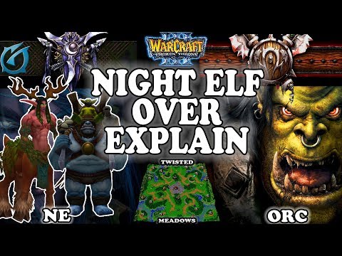 Grubby | Warcraft 3 TFT | 1.30 | NE v ORC on Twisted Meadows - Night Elf Over Explain