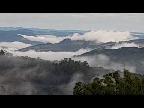 Nevoeiro na Serra do Rio Grande do Sul, dia 14 de junho de 2026.