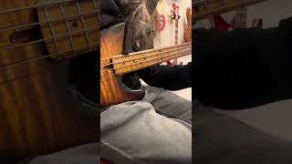 La Bella Olinto Signature Flat Wound Bass Strings - OSF-4 4-String Set