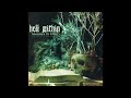 Hell Within - "Shadows of Vanity"