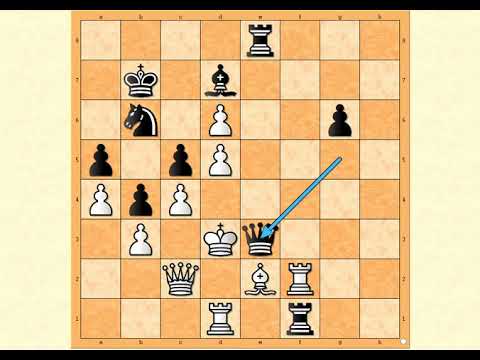Pirčeva odbrana ~KOVAČEViĆ vs SEIRAWAN # 1391