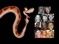 Comparing The Voices Kaa