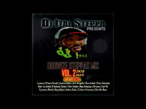 DJ Ital Steppa - Dubwize Steppas Mix Vol 2  (2019)