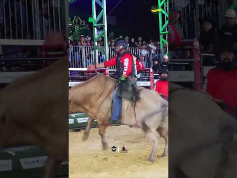 Campeão de Capela do Alto-SP
