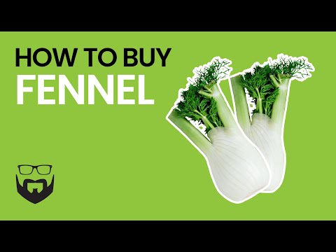 image-When can I buy fennel?