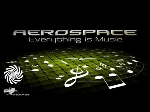 Aerospace  - Everything is Music