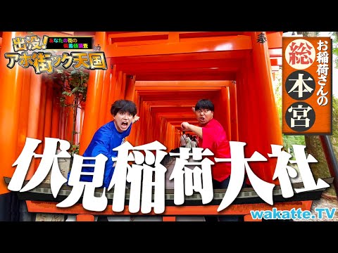 放射線技術学科 【重要学歴文化財？】観光地・伏見稲荷でまさかの東大・ハーバード？！アホ街ック天国 in 京都・伏見稲荷神社【wakatte TV】#1316