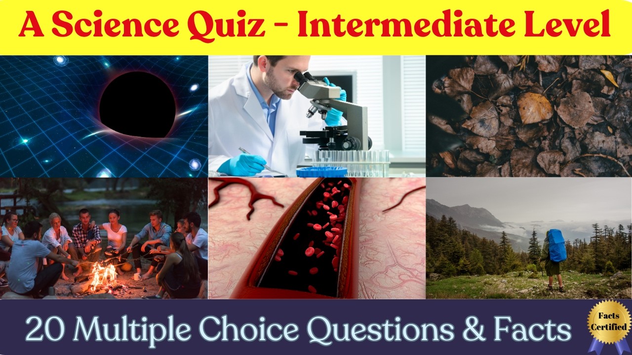 Tricky Science Questions You Should Know (But Probably Don’t)