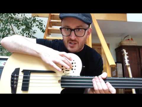 Godin A4 Ultra Fretless 2000s - Natural image 14