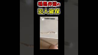 ついに器物損壊罪の犯人を確保しました