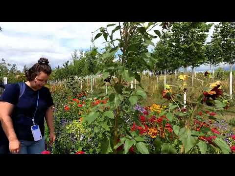 Buga 2023 in Mannheim