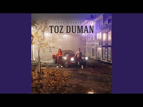 Toz Duman