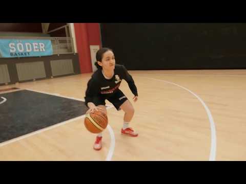 Fryshusets Gymnasium: Naturvetenskapsprogrammet - Basket