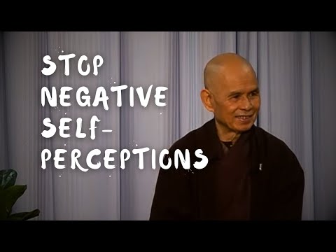 How to Stop Negative Perceptions of Ourselves | Thich Nhat Hanh (short teaching video)