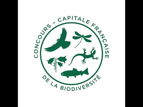 [Webinaire] Présentation du concours 