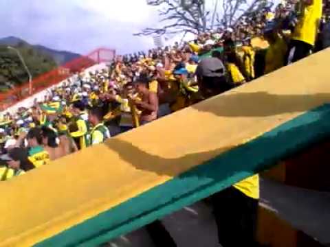 "Fortaleza Leopard a Sur - Locos por el Leopardo" Barra: Fortaleza Leoparda Sur &bull; Club: Atlético Bucaramanga