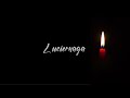 Luciernaga - José Madero Lyric Video