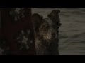 The Road Ending Scene Full HD