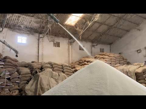 image-What are the steps in processing rice?