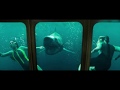 47 Meters Down Uncaged | Final Trailer | PVR