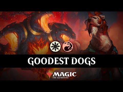 Dog Tribal DESTROYS Dimir Rogues | Boros Winota Aggro | MTG Arena Standard