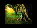 Adrian Von Ziegler - Dance with the Trees 