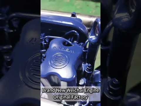 100% New Engine-Weichai/Sinotruk Original Engine