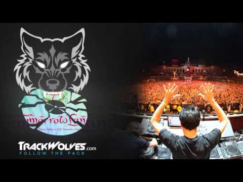 Laidback Luke + Sander van Doorn + Chuckie - Live @ Tomorrowland 2013 (Belgium) - 27.07.2013