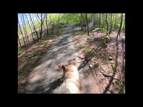 Fartfylld ridtur runt Gyllebosjön