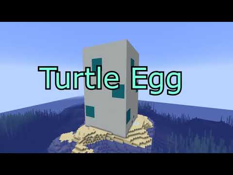 Can you ESCAPE this Minecraft PRISON???