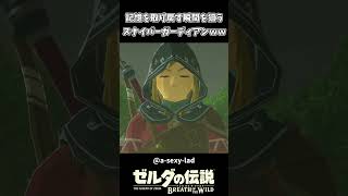 リンクの記憶が戻るのを阻止するガーディアンｗｗ【ゼルダの伝説 ブレス オブ ザ ワイルド】
