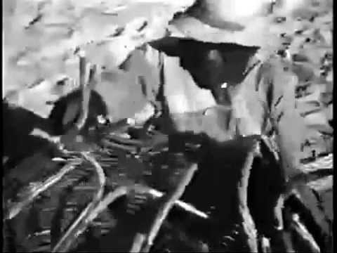 Suíte do Pescador video