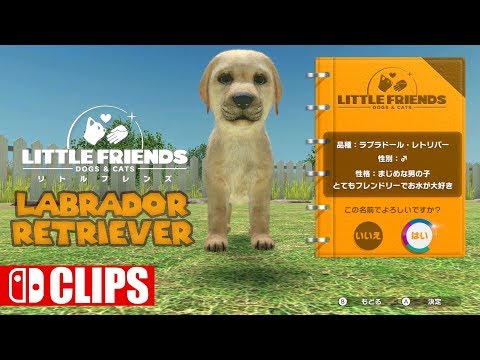 Little Friends: Dogs & Cats - Labrador Retriever | CLIPS 1080p60