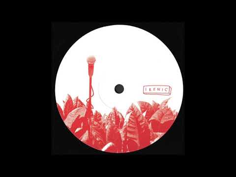 B1. Meadow - Close To The End [IRENIC006]