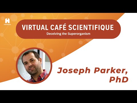 Virtual Café Scientifique | Deceiving the Superorganism