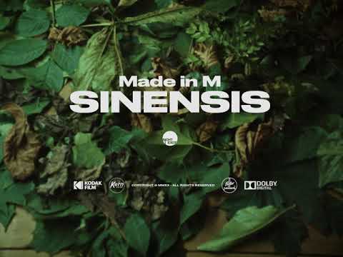 Made in M – Sinensis