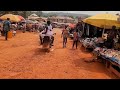 A Day in the Life of a Ghanaian Village: Africa Village in 4k