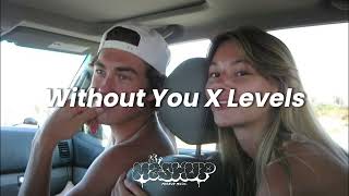 Download lagu David Guetta, Avicii – Without You X Levels (Mashup) mp3 Download lagu David Guetta, Avicii – Without You X Levels (Mashup) mp3