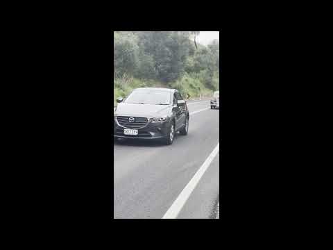 Bay to Birdwood 2025