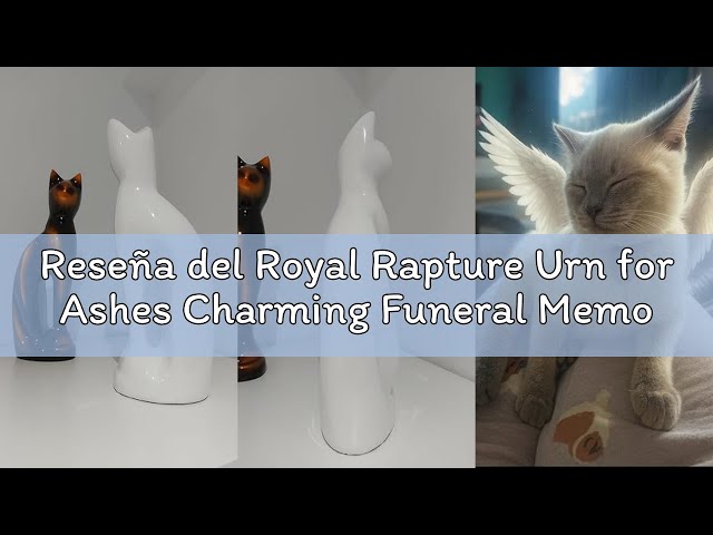 Vídeo relacionado con Royal Rapture Urn for Ashes Charming Funeral Memorial Cremation Cat Figurine Pet Love Urns Decorative|Alloy|(Black Cat,9") RCM01-02