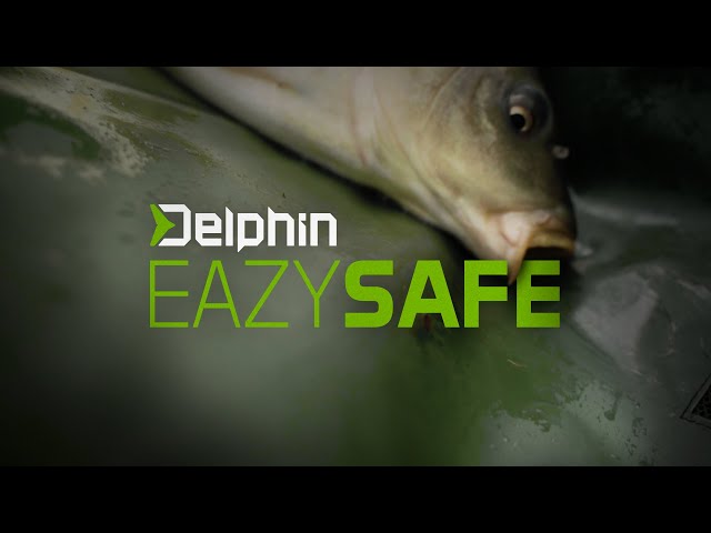 eazySafe